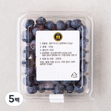 엠팍 미국산 블루베리, 125g, 5팩