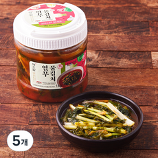 예소담 특 열무 물김치, 1kg, 5개