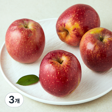 가족 못난이 감홍사과, 3개, 1.5kg(대과, 4~5입)
