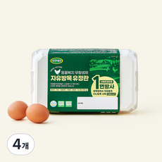 자연애찬 동물복지 인증 자유방목 유정란 1번 780g, 15구, 4개