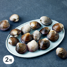 바다자리 국내산 생물 모시조개 (냉장), 2개, 500g