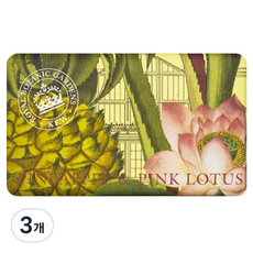 큐가든 파인애플 핑크로투스 비누, 240g, 3개