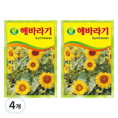 청농종묘 해바라기 씨앗 18p, 4개 4개