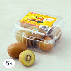 제스프리 썬골드키위, 750g, 5개