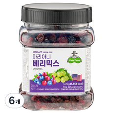 넛츠팜 마리아니 베리믹스, 400g, 6개