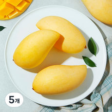 태국 남독마이 망고(S), 1.1kg(4입), 5개