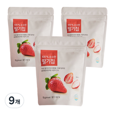 올가홀푸드 100% 순수한 딸기칩, 10g, 9개