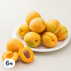 새벽경매 하우스 살구, 500g(6~9입), 6팩