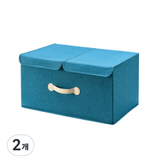 리몬 더블 수납 리빙박스, 혼합색상, 2개