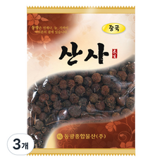 동광한방몰 산사, 150g, 3개