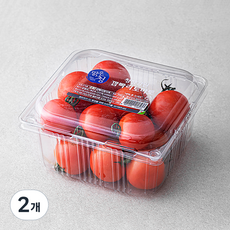 맑은청 청정강원 깜빠리 토마토, 700g, 2개