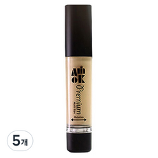 아미옥 프리미엄 컨투어링 마스터 하이빔 4g, 러스트베이지, 5개