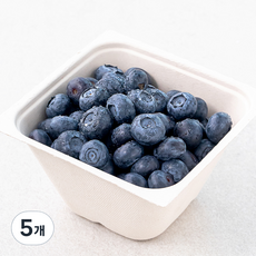 산지직송 아주마 유기농 인증 영동 블루베리, 250g, 5개