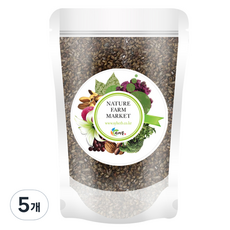 신영몰 결명자 중국산, 600g, 5개