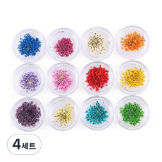 Tenezer乾燥花壓花造型美甲裝飾品 12件組, 混色, 4組