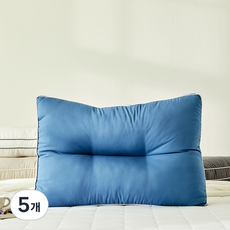 모던하우스 커버가 필요없는 기능성베개, 네이비, 5개