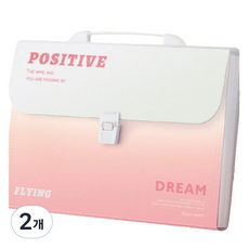 아스터 12칸 아코디언 파일 바인더, 핑크, 2개