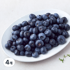 수플린 칠레산 블루베리, 4개, 310g