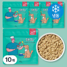 테이스트오브네이쳐 강아지 화식사료 냉동, 돼지, 100g, 10개