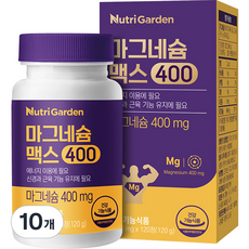 뉴트리가든 마그네슘 맥스400, 120정, 10개