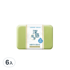 台海生技 深感肌凈海鹽草本潔面皂 100g/顆 深層清潔、溫和去角質、草本舒緩, 6入