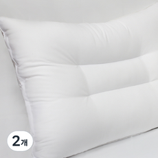 바자르 극세사 다운필 베개솜, 화이트, 2개