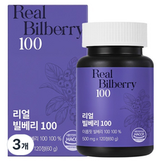 이롭핏 리얼 빌베리 100 60g, 3개, 120정