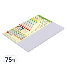 종이문화 두꺼운 양면 레인보우 카드지 No 20 라일락 205g, B4, 75개