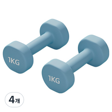 로이윙 PVC 아령 덤벨 양손 세트, 4개, 1kg