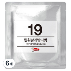 페스트세븐 페로몬 유인제 19 뒷흰날개밤나방, 6개