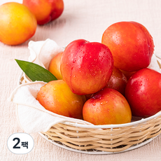 새벽경매 이화원 자두, 2팩, 500g