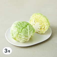 친환경 사보이 양배추, 500g, 1개입, 3개