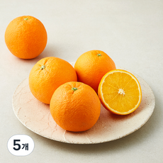곰곰 국내산 오렌지, 5개, 1.2kg(3~6입)