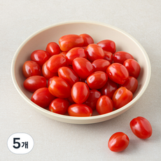 한반도 모닐 토마토, 5개, 500g