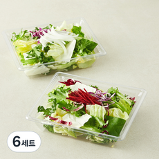 곰곰 어니언 앤 비트 콤보팩 샐러드채소 아삭한 비트 + 어니언 소프트 세트 160g, 2개입, 6세트