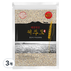 해풍맞은 제주도 호라산밀, 1kg, 3개
