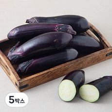 못생겨도 맛있는 가지, 2.5kg, 5개