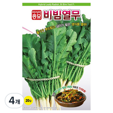 비빔열무 씨앗 20g, 4개