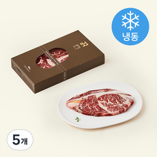 더 프리미엄 드라이에이징 한우 1등급 등심 구이용 (냉동), 200g, 5개