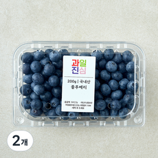 국내산 과일진심 블루베리, 2개, 200g