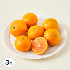 올푸릇 저탄소 인증 카라향 5~8입, 3개, 1kg