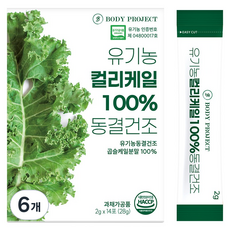 바디프로젝트 유기농 컬리케일 100% 동결건조 분말스틱, 28g, 6개