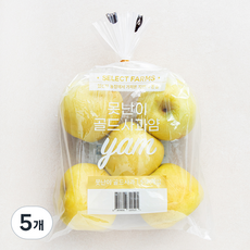 셀렉트팜 못난이 골드사과얌, 1.5kg(중과, 5~7입), 5개