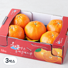 올레길 AI 당도선별 13.5brix 고당도 레드향, 1.5kg(대과,4~5입), 3박스