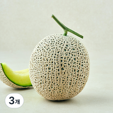 가온누리 머스크 멜론, 3개, 1.7kg