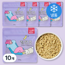 테이스트오브네이쳐 강아지 화식사료 냉동, 칠면조, 100g, 10개
