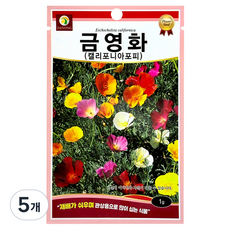 다농 금영화 캘리포니아포피 씨앗 1g, 5개