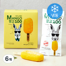 프룻바 망고 100 5입 (냉동), 400g, 6개