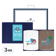 송월타월 2025년 신년 설 명절 푸른뱀 자수 호텔 수건 150g 30수 면사 2종 선물세트 + 쇼핑백, 아이보리 + 브라운, 3세트
