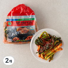 농협 선장 아산맑은파김치, 900g, 2개